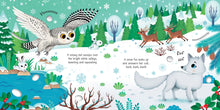 Load image into Gallery viewer, Arctic Animals Sound Book