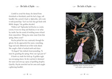 Load image into Gallery viewer, Tales of Brave and Brilliant Girls from the Greek Myths