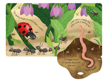 Load image into Gallery viewer, Little Lift and Look Bugs