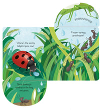 Load image into Gallery viewer, Little Lift and Look Bugs