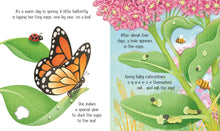Load image into Gallery viewer, Usborne Life Cycles: One Little Butterfly