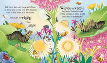 Load image into Gallery viewer, Usborne Life Cycles: One Little Butterfly
