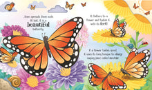 Load image into Gallery viewer, Usborne Life Cycles: One Little Butterfly