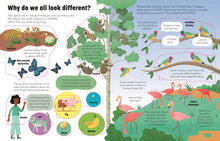 Load image into Gallery viewer, See Inside Genes & DNA