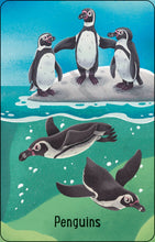 Load image into Gallery viewer, Zoo Snap