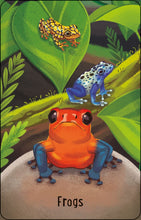 Load image into Gallery viewer, Zoo Snap