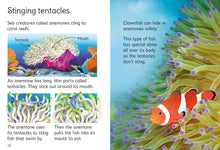 Load image into Gallery viewer, Coral Reefs