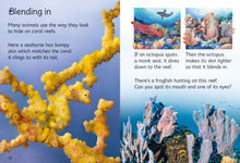 Load image into Gallery viewer, Coral Reefs