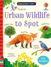 Load image into Gallery viewer, Urban Wildlife to Spot