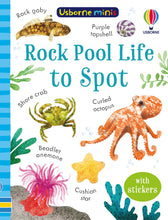 Load image into Gallery viewer, Rock Pool Life to Spot