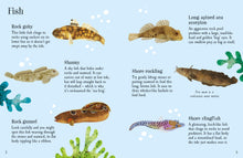 Load image into Gallery viewer, Rock Pool Life to Spot