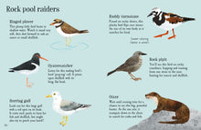 Load image into Gallery viewer, Rock Pool Life to Spot