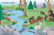 Load image into Gallery viewer, Wipe-Clean Nature Activities