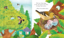 Load image into Gallery viewer, Peep Inside Springtime