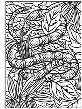 Load image into Gallery viewer, Rainforest Magic Painting Book