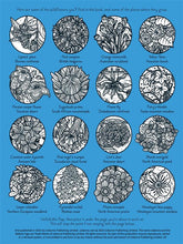 Load image into Gallery viewer, Wildflowers Magic Painting Book