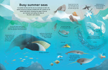 Load image into Gallery viewer, Extreme Planet: Journey Across The Arctic