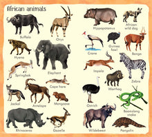 Load image into Gallery viewer, 199 Zoo Animals