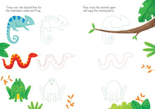 Load image into Gallery viewer, Little Wipe-Clean Animals to Copy and Trace