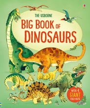 Load image into Gallery viewer, Big Book of Dinosaurs