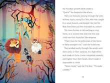 Load image into Gallery viewer, The Wonderful Wizard of Oz