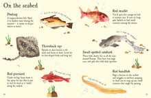 Load image into Gallery viewer, Fish to Spot