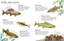 Load image into Gallery viewer, Fish to Spot