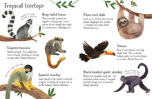 Load image into Gallery viewer, Zoo Animals to Spot