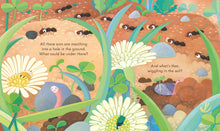 Load image into Gallery viewer, Peep Inside Under the Ground