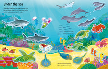 Load image into Gallery viewer, First Sticker Book Wild Animals