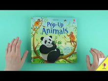 Load and play video in Gallery viewer, Pop-Up Animals