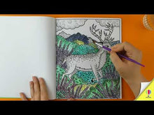 Load and play video in Gallery viewer, Animals Magic Painting Book