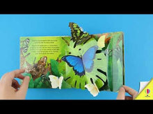 Load and play video in Gallery viewer, Pop-Up Butterflies