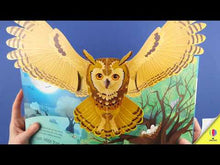 Load and play video in Gallery viewer, Pop-Up Birds