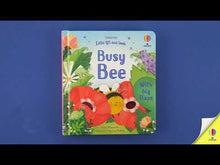Load and play video in Gallery viewer, Little Lift and Look Busy Bee