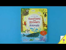 Load and play video in Gallery viewer, Lift-the-Flap Questions and Answers about Animals(Board Book)