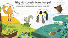 Load image into Gallery viewer, Lift-the-Flap First Questions and Answers Why Do Tigers Have Stripes?(Board Book)