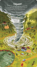 Load image into Gallery viewer, Look Inside Wild Weather (Board book)