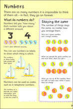 Load image into Gallery viewer, First Illustrated Maths Dictionary