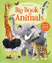 Load image into Gallery viewer, Big Book of Animals (Board book )