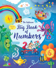Load image into Gallery viewer, Big Book of Numbers (Hardcover )
