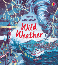 Load image into Gallery viewer, Look Inside Wild Weather (Board book)