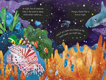 Load image into Gallery viewer, Peep Inside a Coral Reef (Board book)
