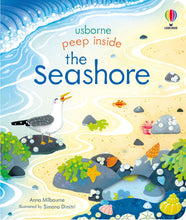 Load image into Gallery viewer, Peep Inside the Seashore (Board book)