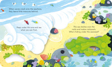 Load image into Gallery viewer, Peep Inside the Seashore (Board book)