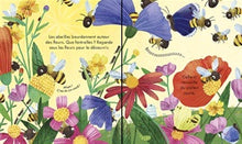 Load image into Gallery viewer, Coucou! La ruche