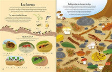 Load image into Gallery viewer, Cahier d'activites: La nature