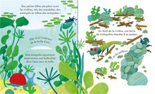 Load image into Gallery viewer, Coucou! Chez les petites bêtes