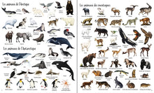Load image into Gallery viewer, 1000 animaux en images