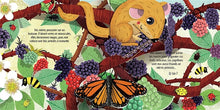 Load image into Gallery viewer, Mon livre pop-up: La nature